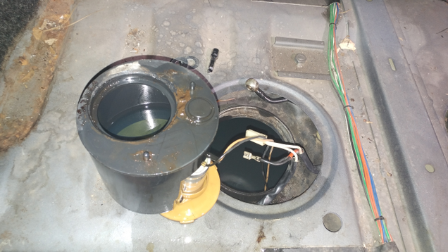 Ignore the sludge, I do. The tank itself was actually pretty clean!